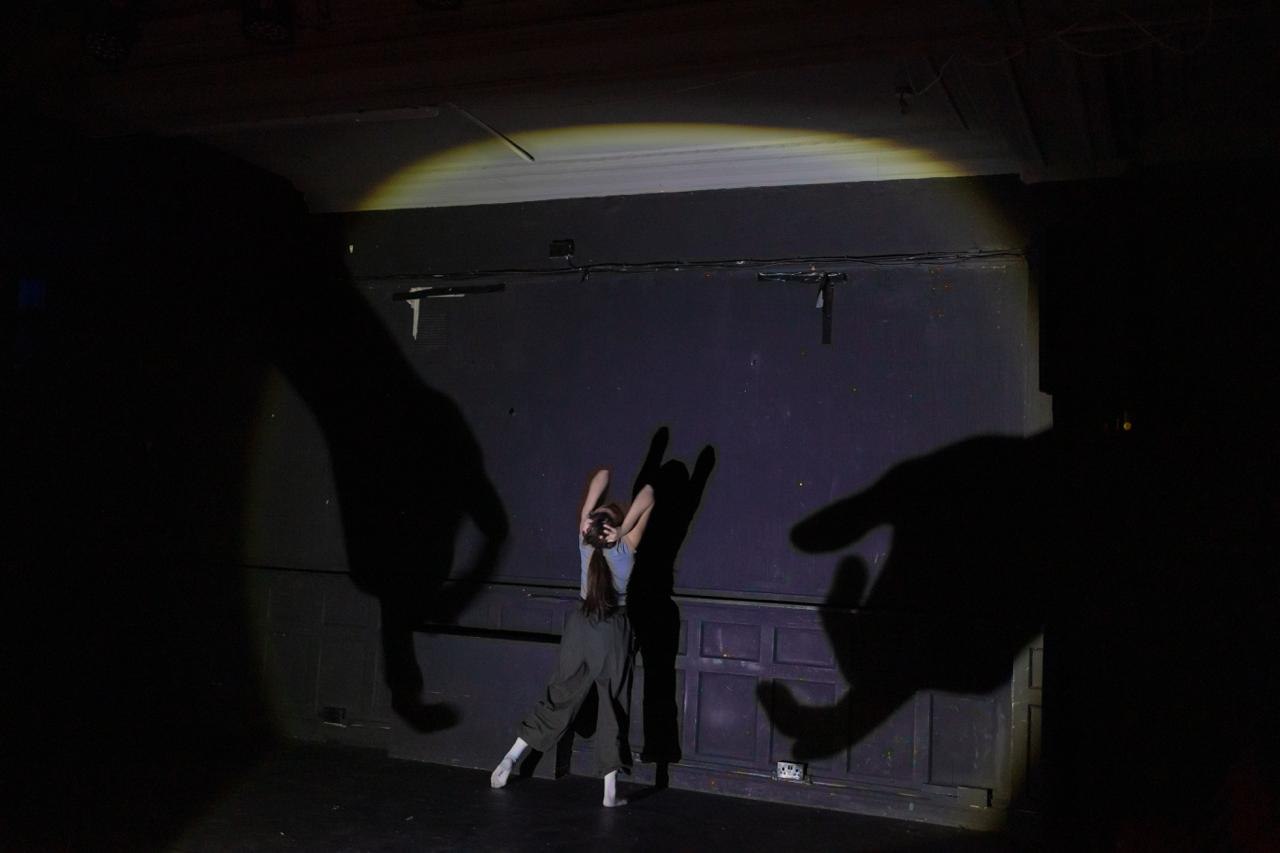 A performer reaches upward, framed by large hand-shadows cast across the stage.